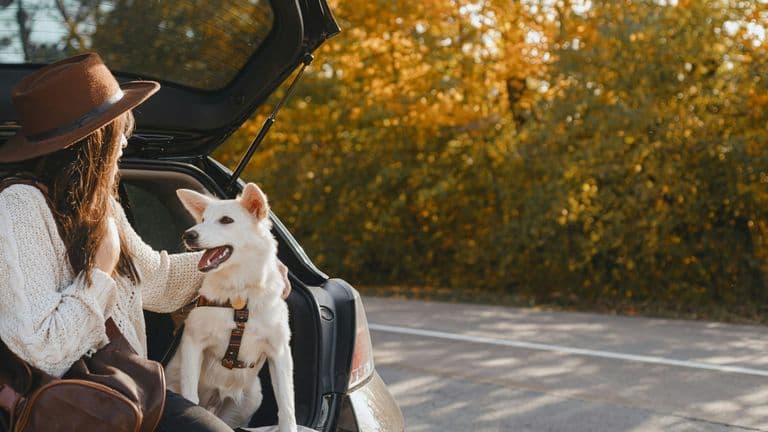 Buster and Geno Crowned America’s Favorite Pets of 2025