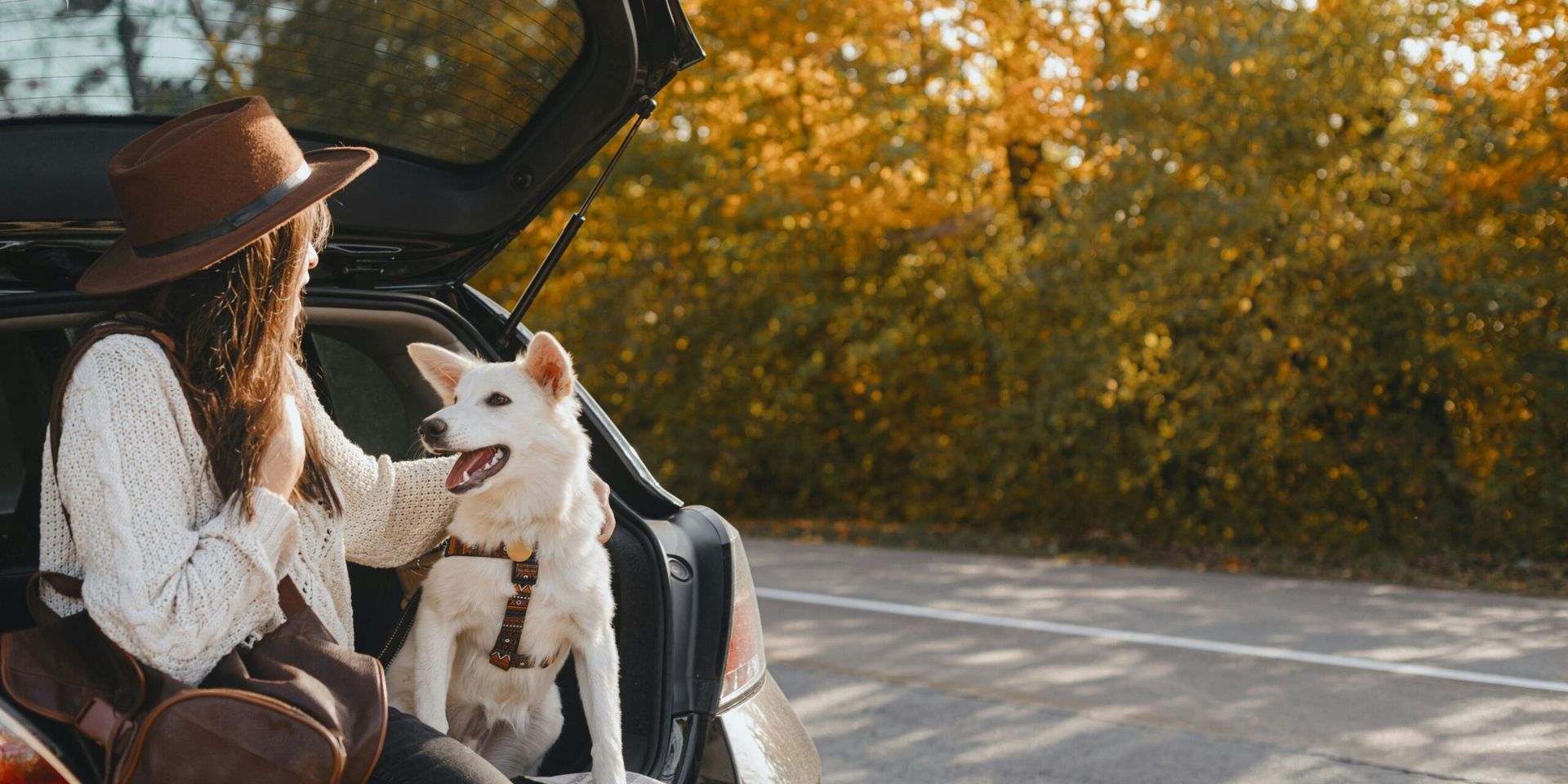 Buster and Geno Crowned America’s Favorite Pets of 2025