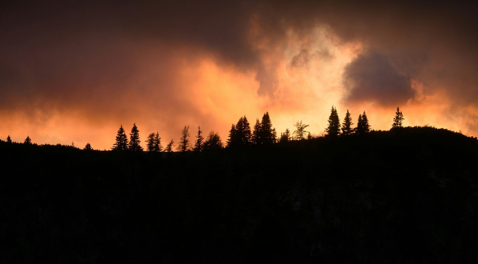 Canadian Wildfires Blanket U.S. Northeast with Smoke, Declared Worst Air Quality in NYC