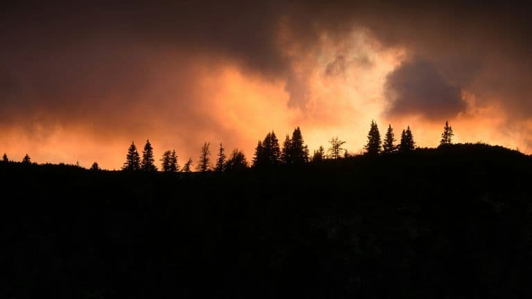 Canadian Wildfires Blanket U.S. Northeast with Smoke, Declared Worst Air Quality in NYC