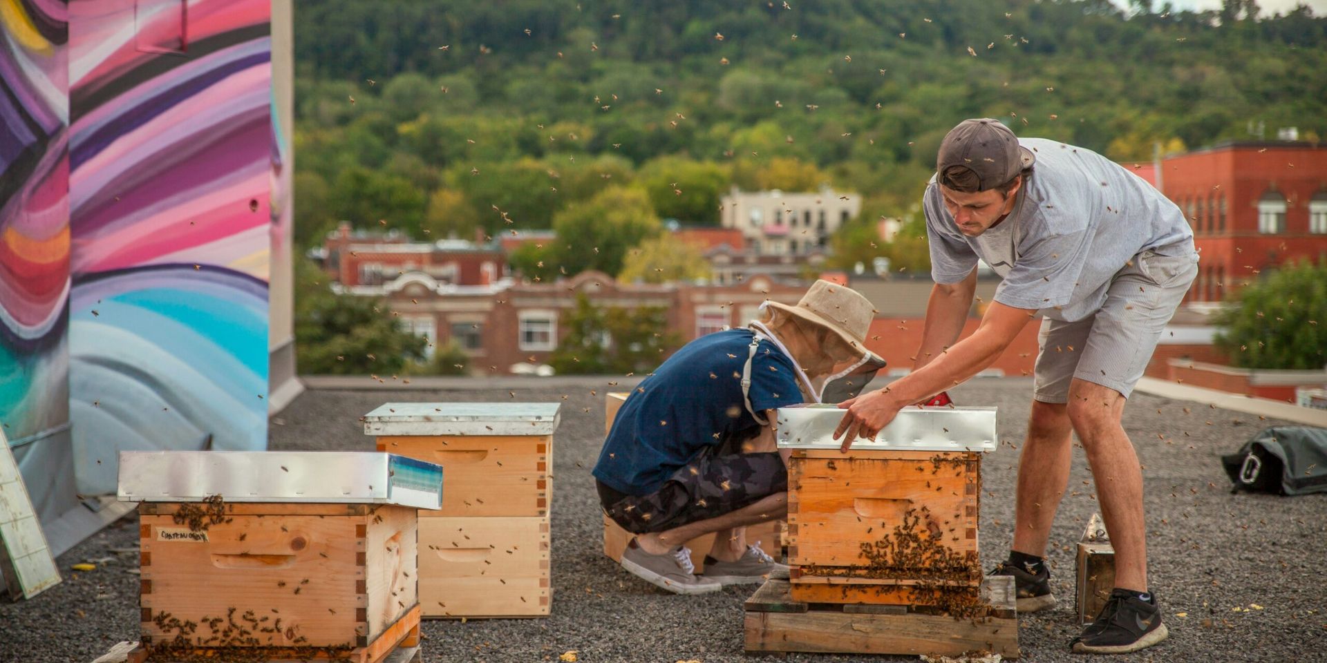 U.S. Millennials Turning to Backyard Beekeeping Amid Wellness Boom
