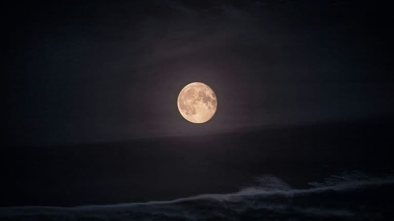 Spectacular Sturgeon Moon Casts a Glow Over August Skies