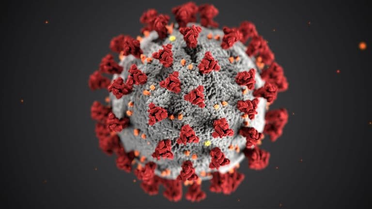 FDA Approves Groundbreaking Universal Flu Vaccine for Long-Term Protection