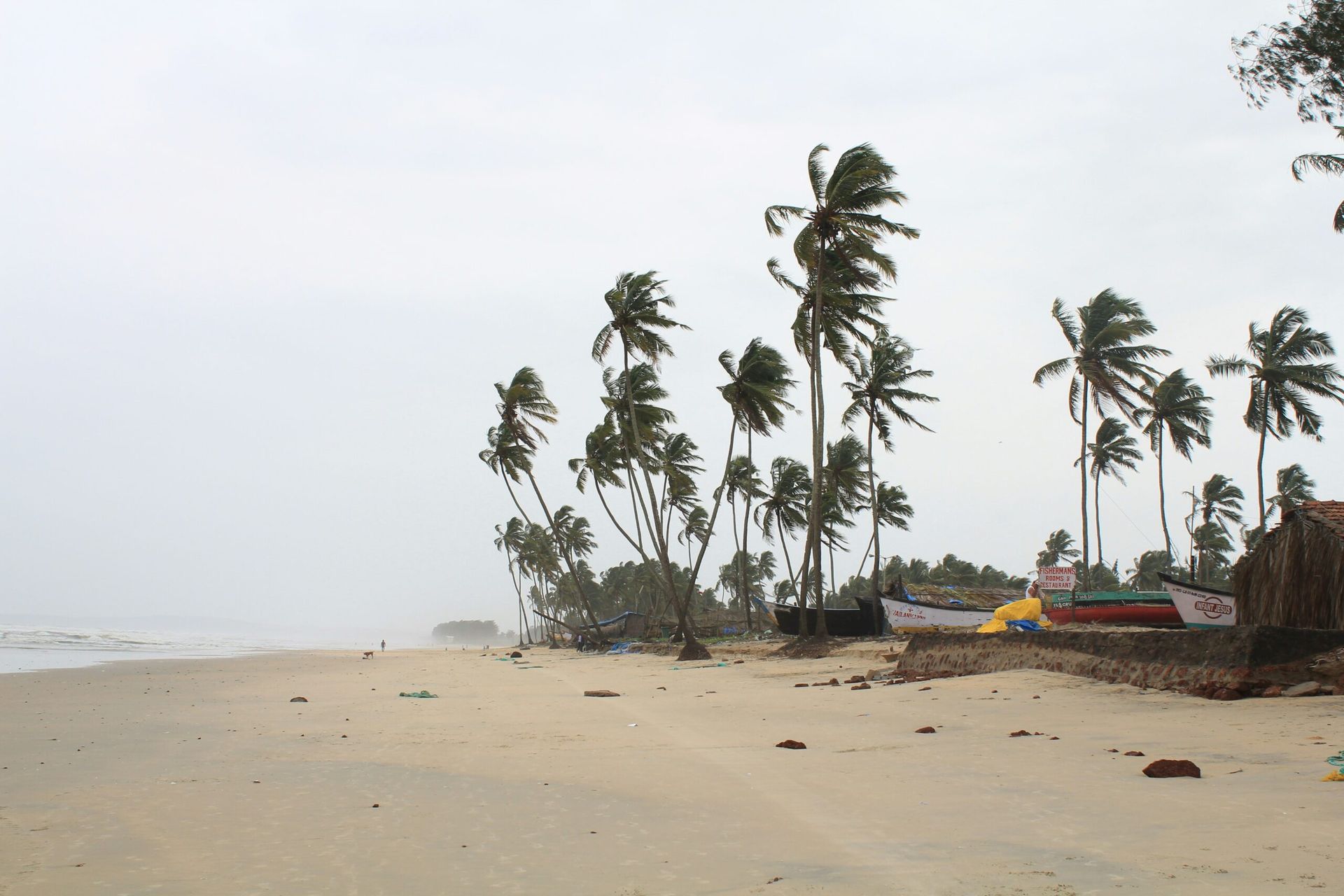 Cyclone Chido Strikes Mayotte and Mozambique