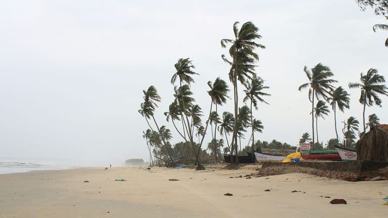 Cyclone Chido Strikes Mayotte and Mozambique