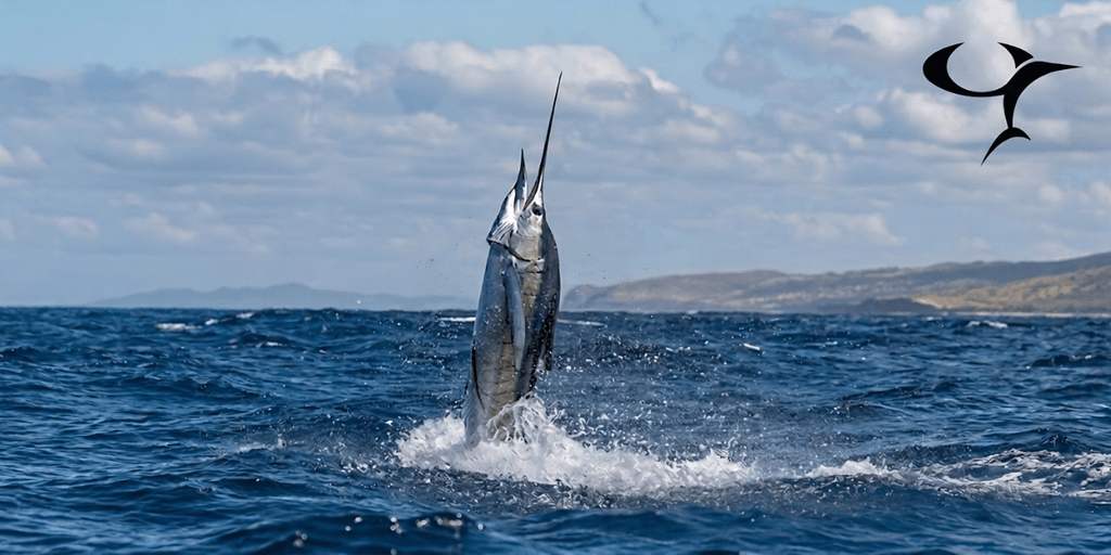 Cr fishing charters knows costa rica best