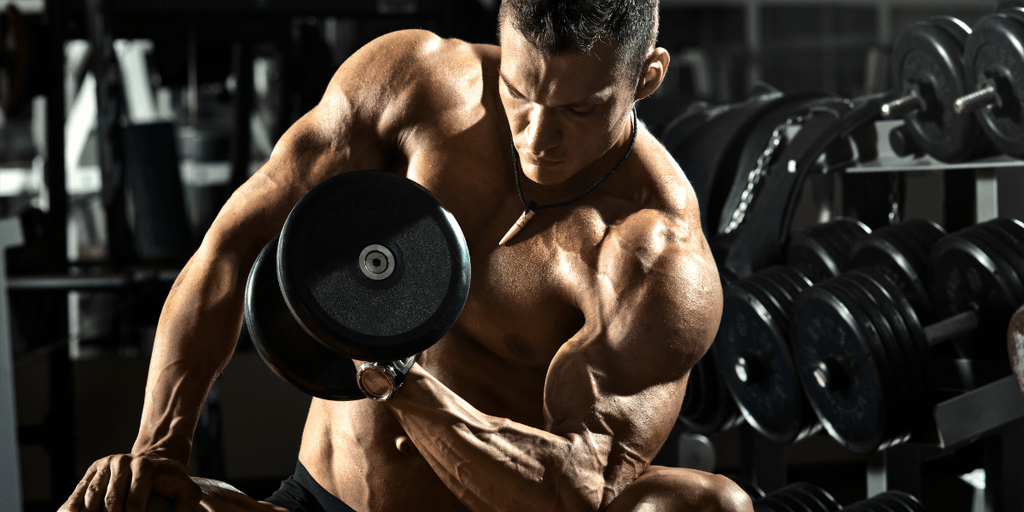 Strength Training Gains Momentum as Research Highlights Long-Term Benefits for Men’s Health