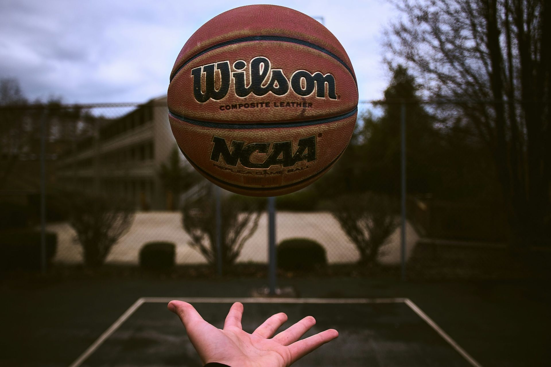 Dan carlson vq6 znbe ui unsplash
