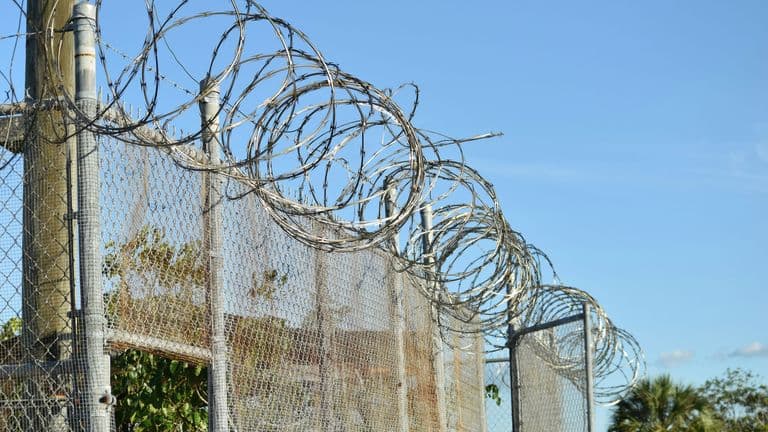 U.S. Transfers More Immigrants to Guantánamo Bay