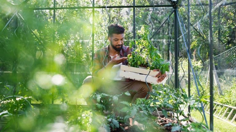 How to Plant a Self-Sustaining Garden