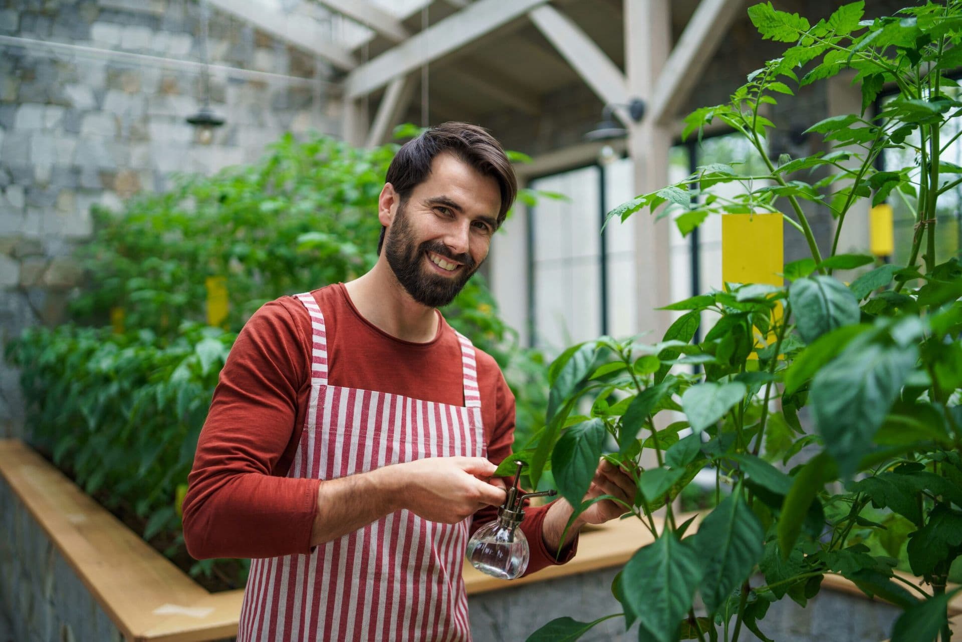 The Rise of Plant-Based Diets Among Men in 2023