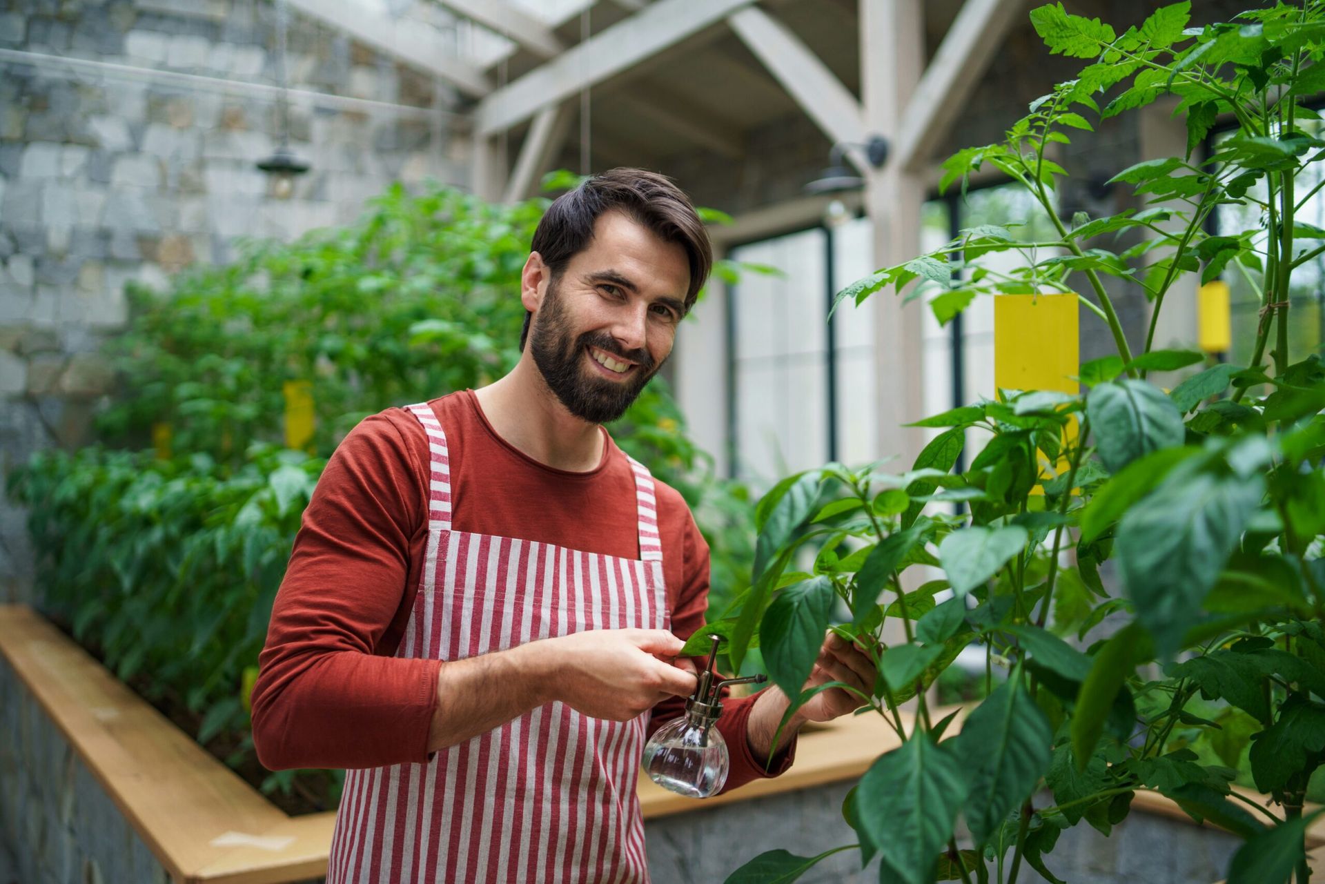 The Rise of Plant-Based Diets Among Men in 2023