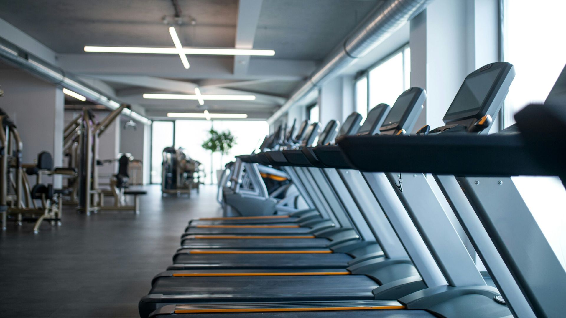 The Crucial Link Between Fitness and Men’s Chronic Disease Prevention