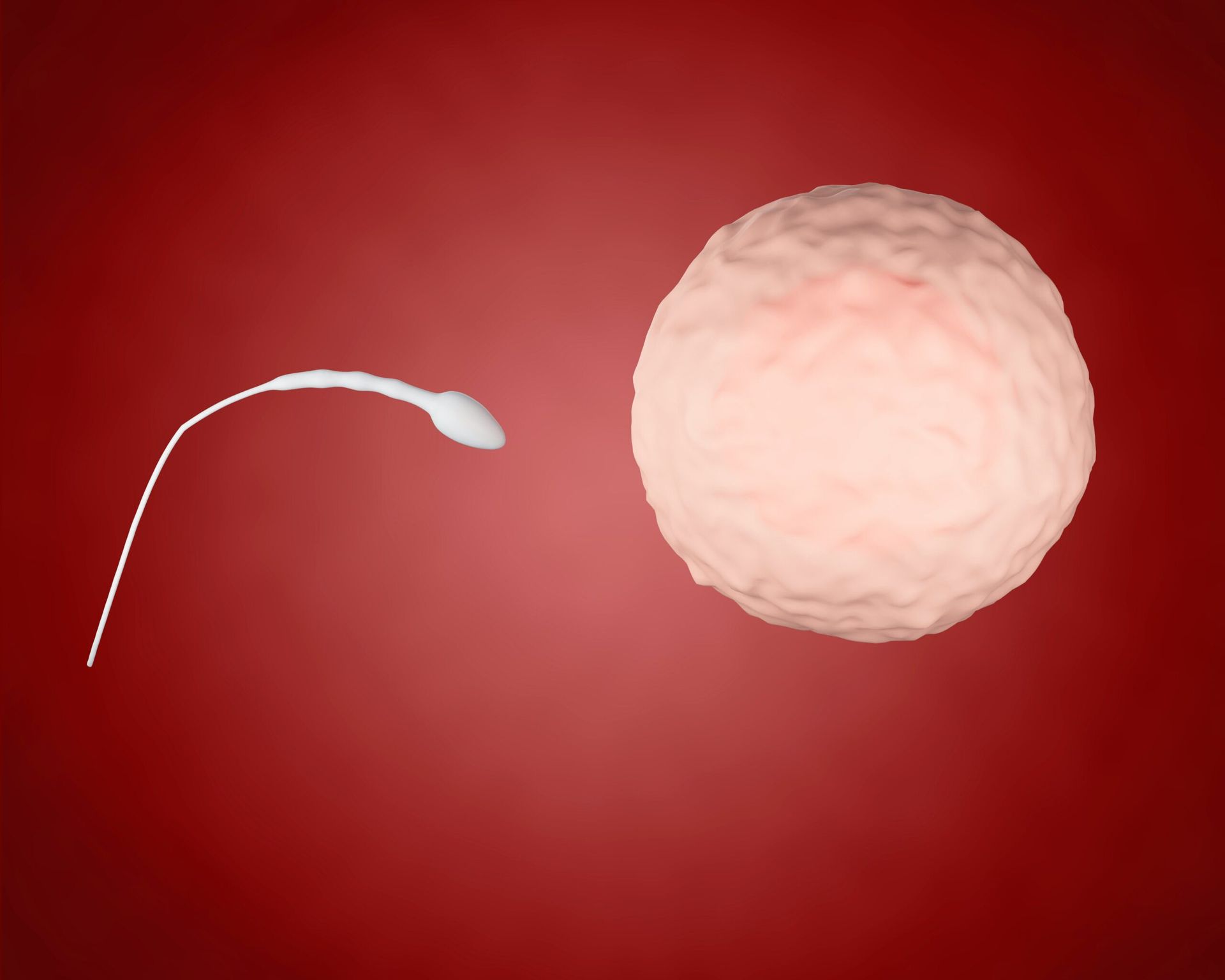 Advances in Male Fertility Treatment: Non-Invasive Techniques Offer Hope