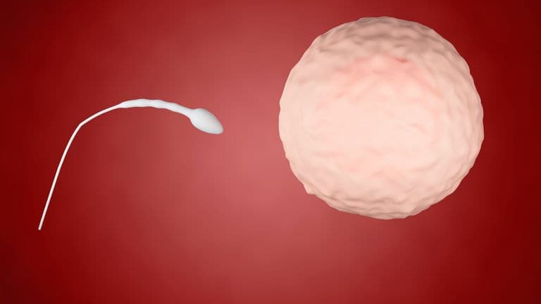 Advances in Male Fertility Treatment: Non-Invasive Techniques Offer Hope