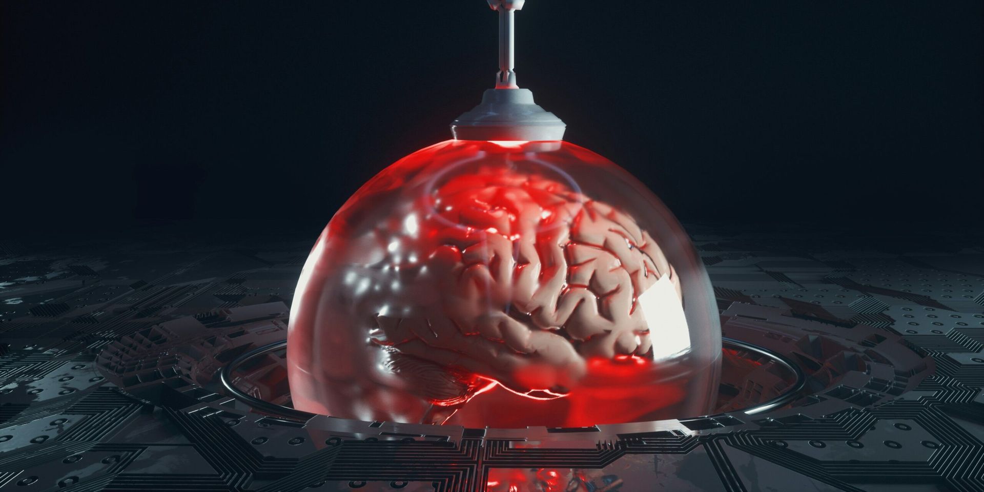 Researchers Reveal Brain-Cleaning Protein May Improve Memory in Mouse Models