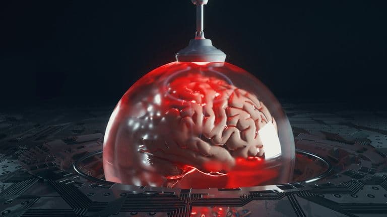 Researchers Reveal Brain-Cleaning Protein May Improve Memory in Mouse Models