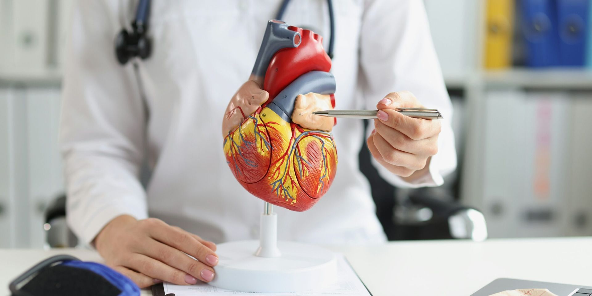 Heart Disease Study Highlights Preventable Risk Factors Ahead of Holiday Season