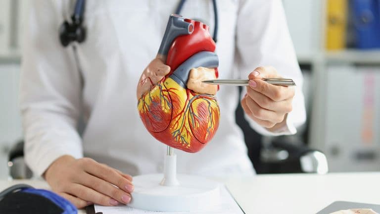 Heart Disease Study Highlights Preventable Risk Factors Ahead of Holiday Season