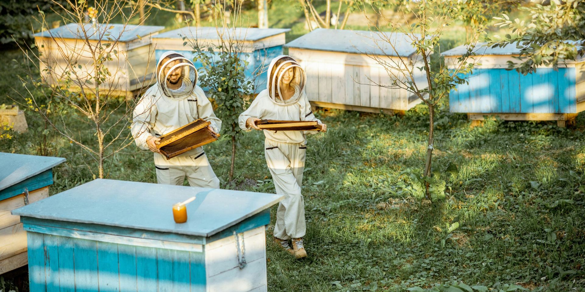 Tech-Powered Bee Hotels Foster Community and Biodiversity