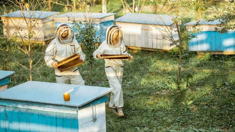 Tech-Powered Bee Hotels Foster Community and Biodiversity