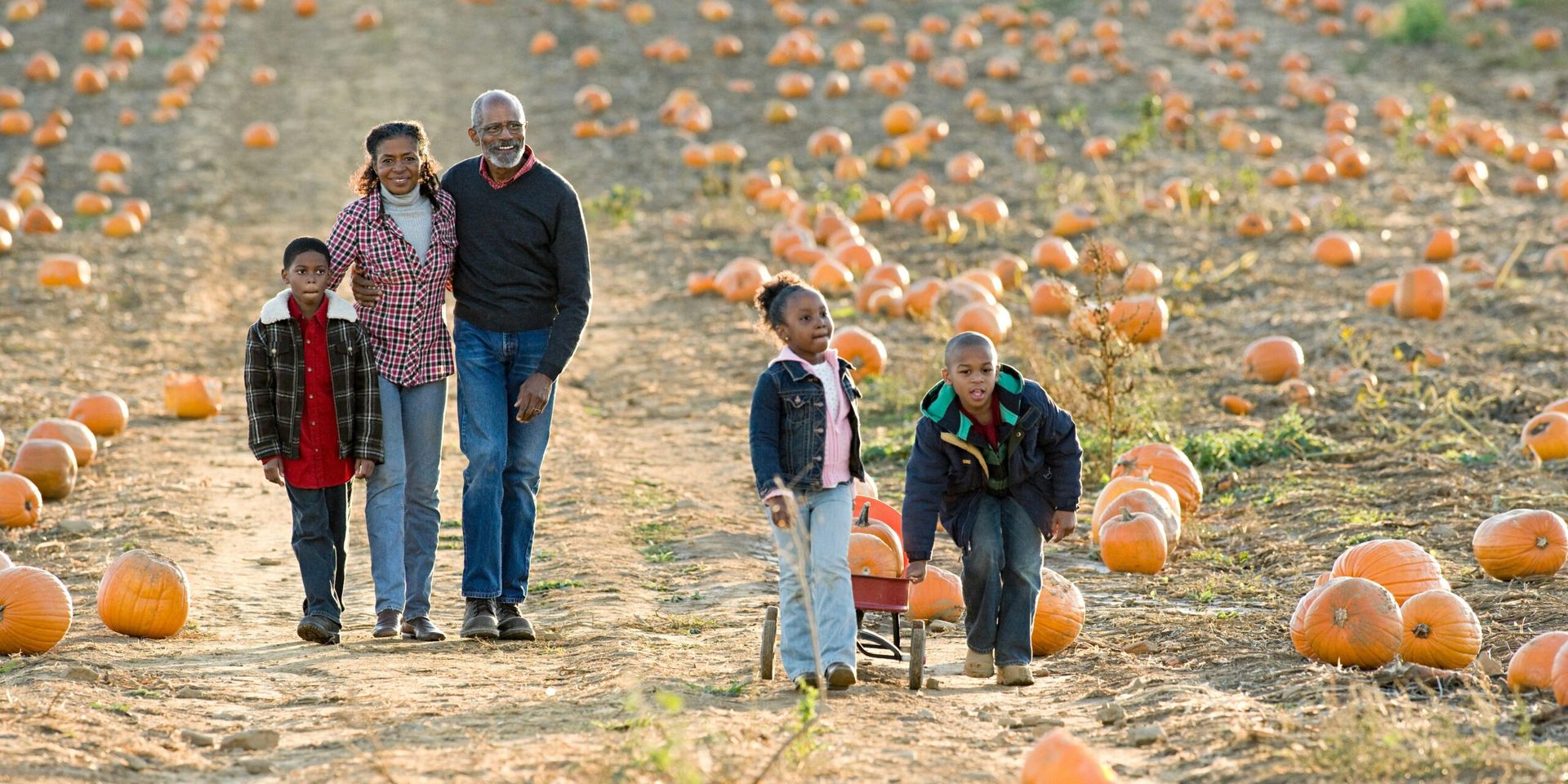 Harvest Moon and Grandparents Day: A Perfect Autumn Celebration of Family and Nature