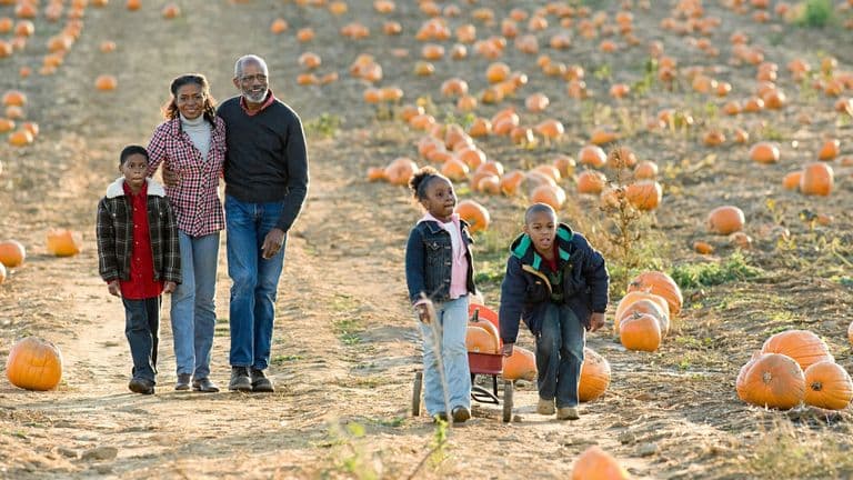 Harvest Moon and Grandparents Day: A Perfect Autumn Celebration of Family and Nature
