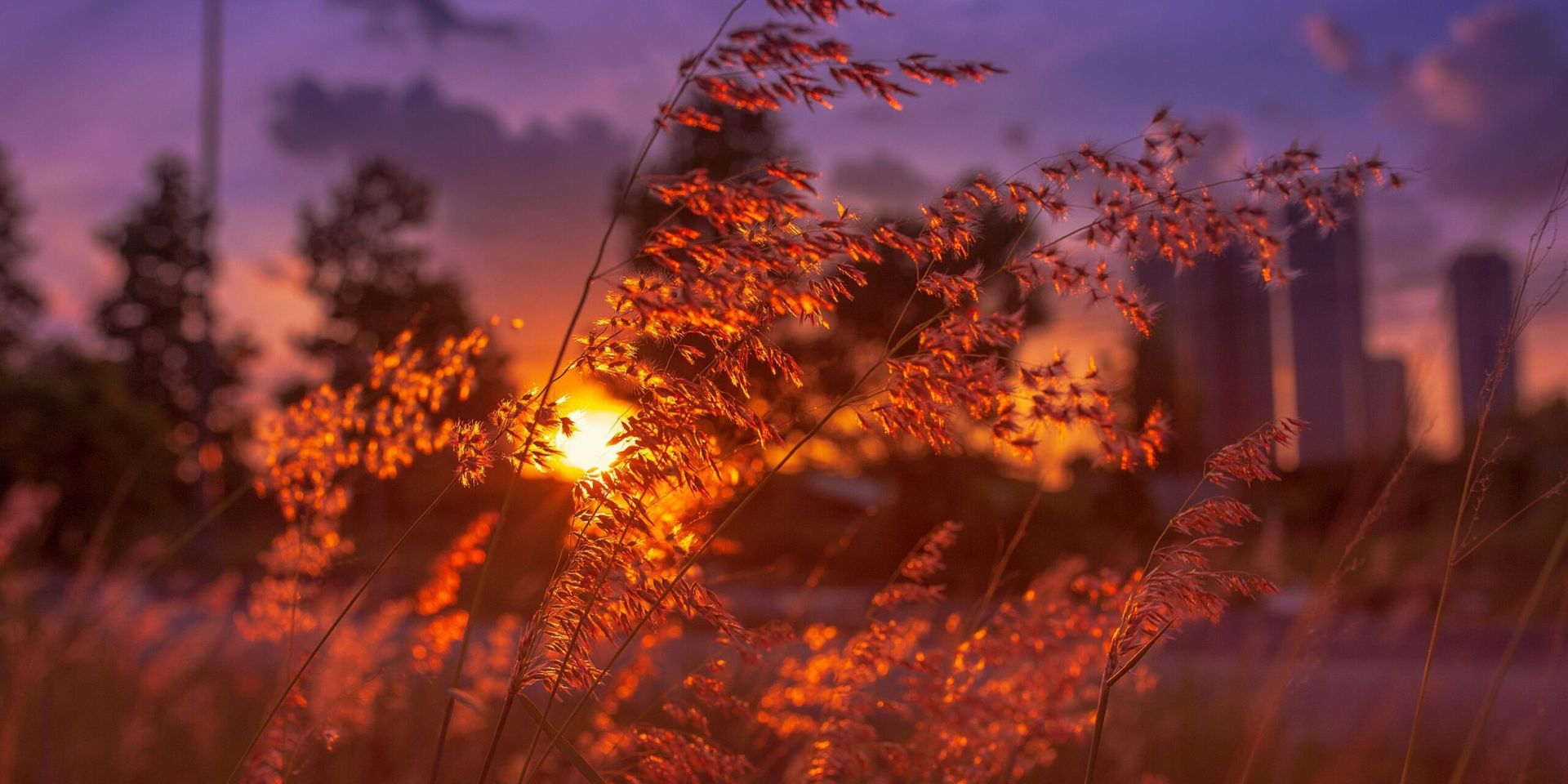 Venus Enters Taurus: A Shift Towards Stability and Sensuality