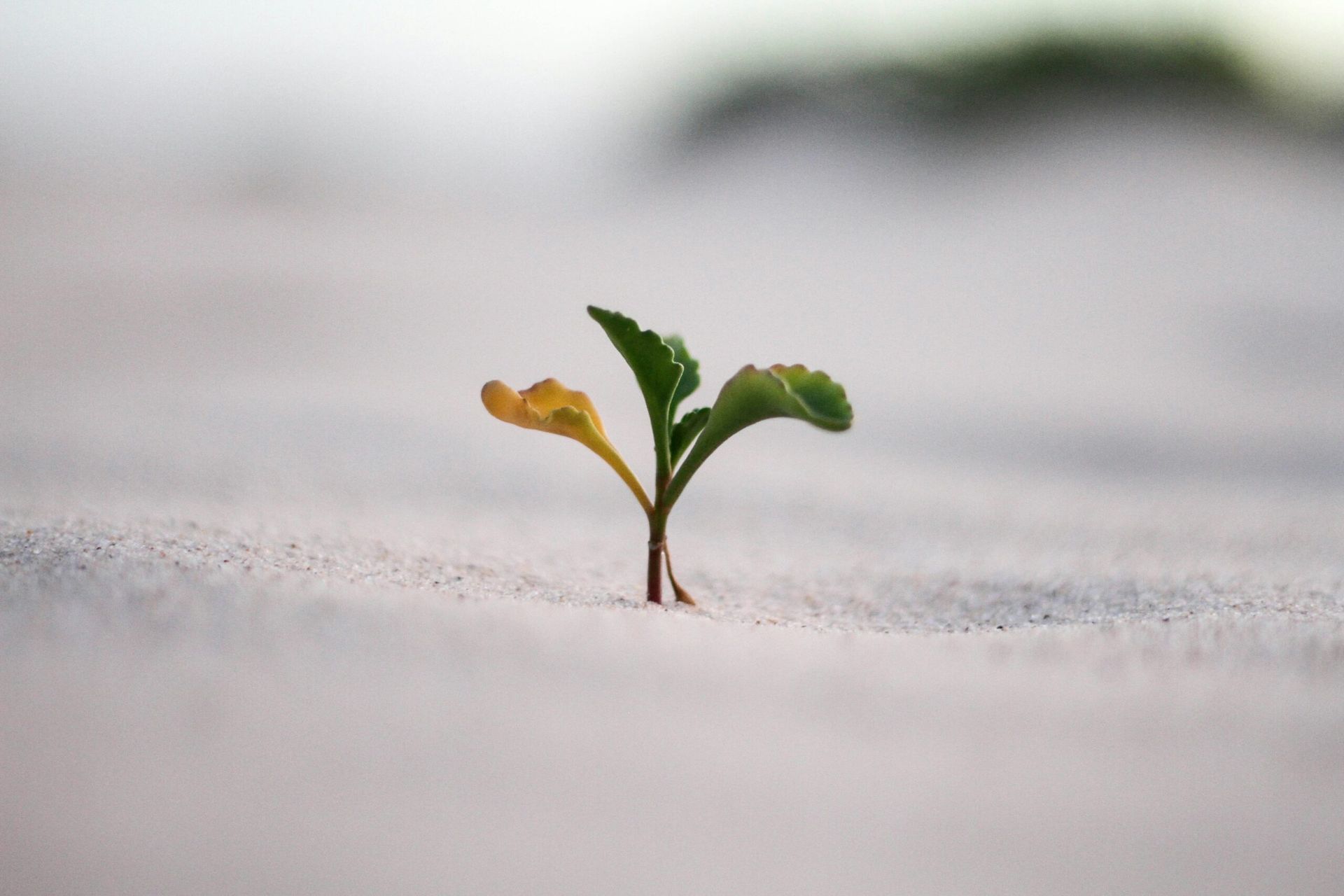 Jeremy bishop vgjgvtsfys4 unsplash