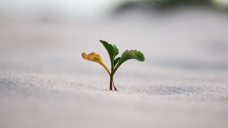 Jeremy bishop vgjgvtsfys4 unsplash