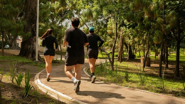 Apple’s National Parks Activity Challenge Promotes Fitness and Park Awareness