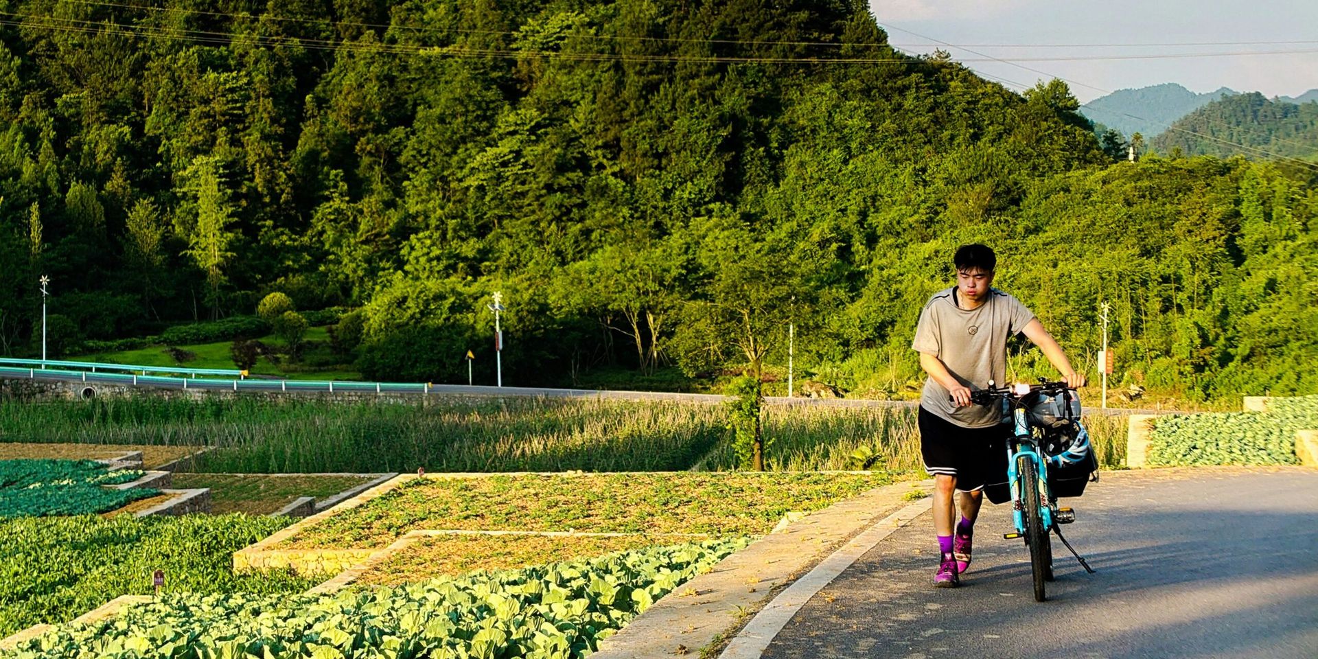World Heart Day 2025: Emphasizing the Importance of Cardiovascular Health