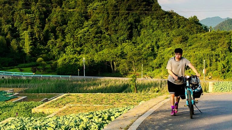 World Heart Day 2025: Emphasizing the Importance of Cardiovascular Health