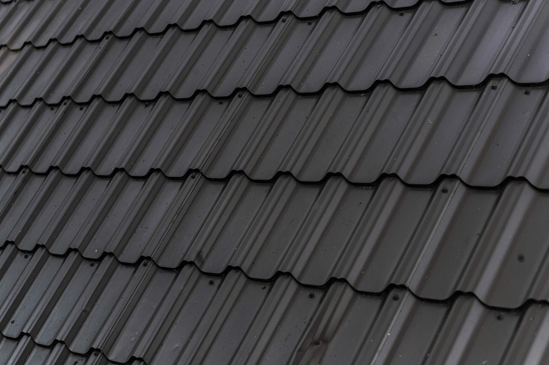 Lukas patuc bqhkvihbodm unsplash