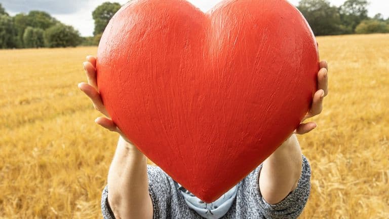 Men’s Heart Health Takes Center Stage in New Cardiovascular Research