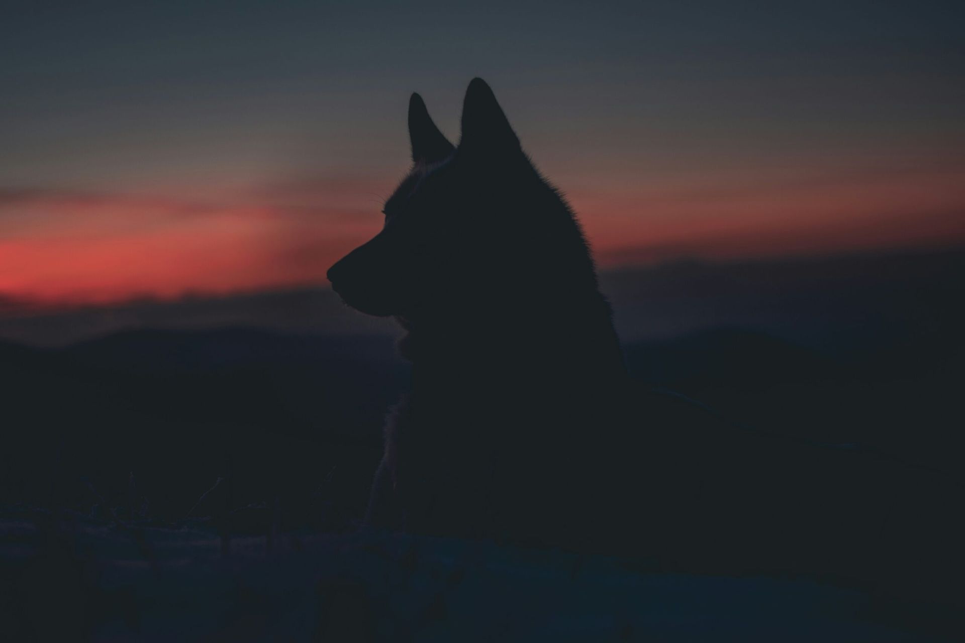 Marek szturc 8ou3ezmtmwa unsplash