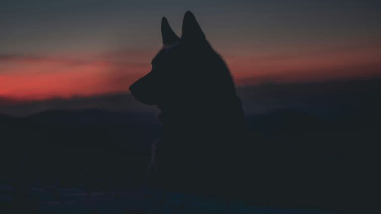 Marek szturc 8ou3ezmtmwa unsplash