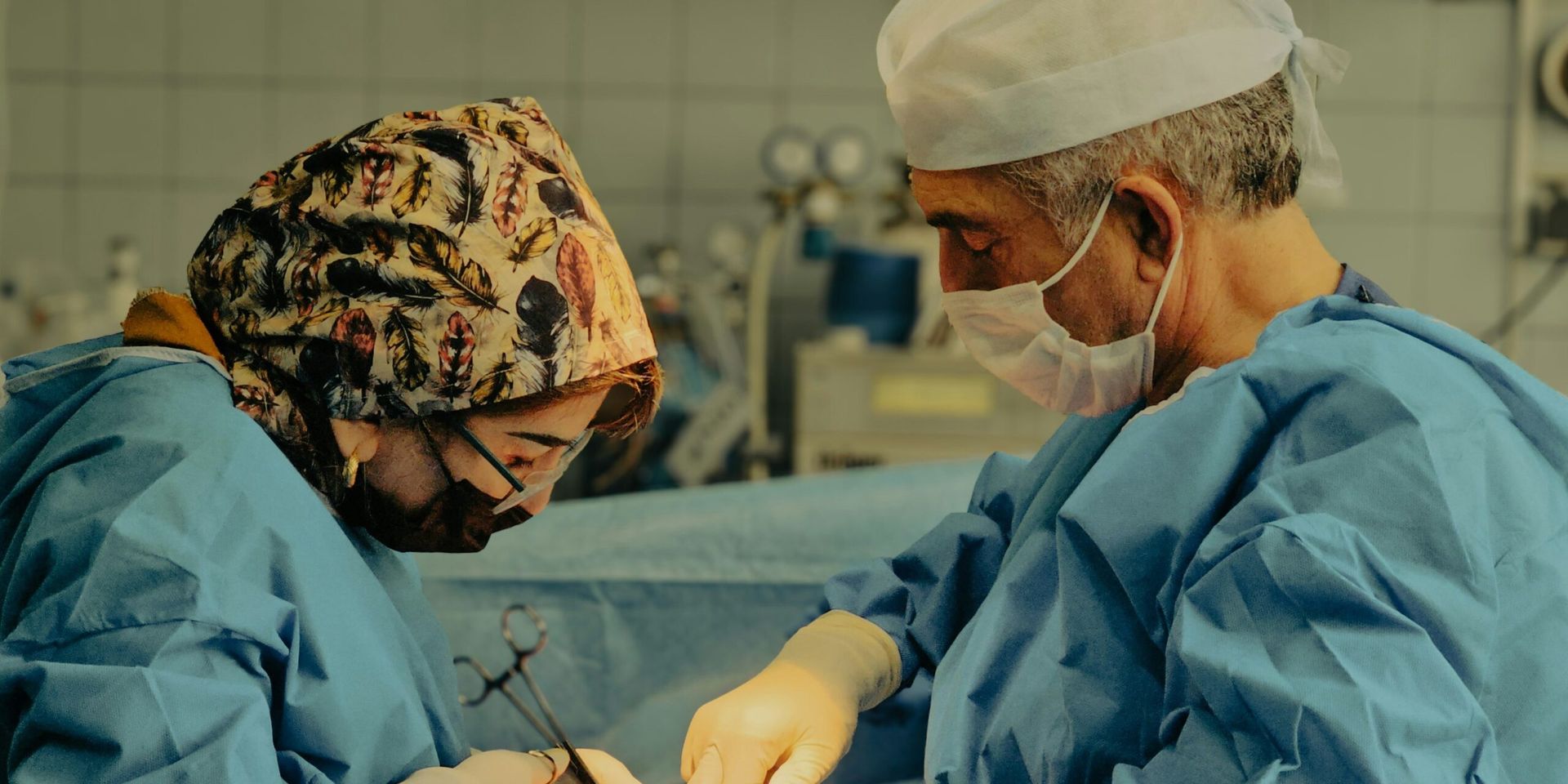 Breakthrough Study Maps Human Immune Response to Pig Kidney Transplants