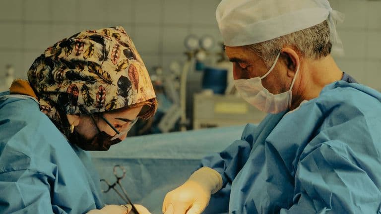 Breakthrough Study Maps Human Immune Response to Pig Kidney Transplants