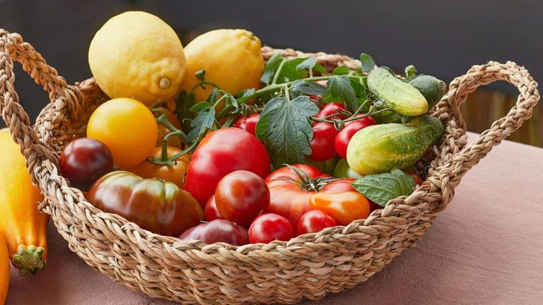 National Fruits & Veggies Month Encourages Americans to Embrace Daily Produce Intake