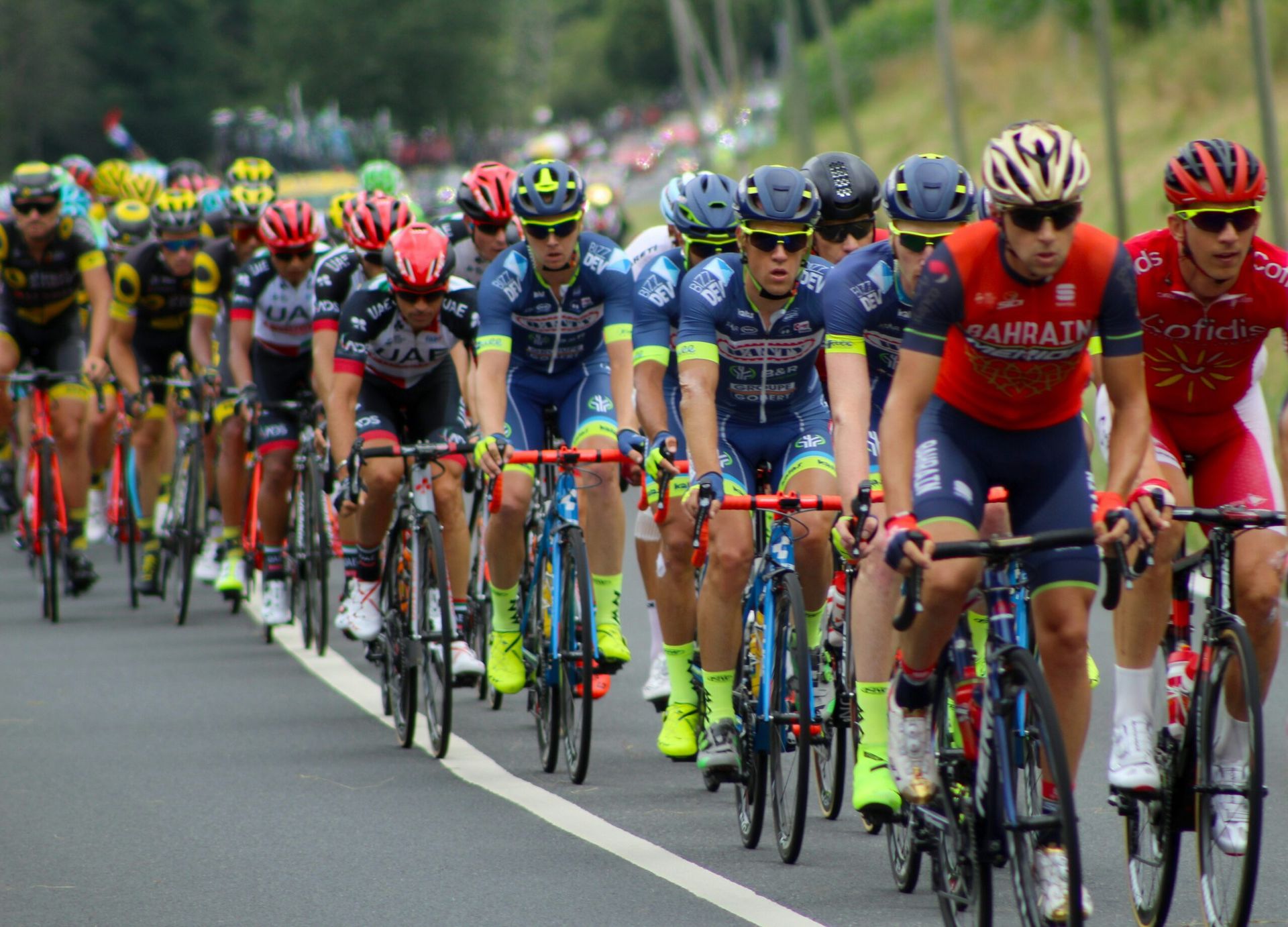 Tadej Pogačar Triumphs in the 2024 Tour de France with a Shocking Victory