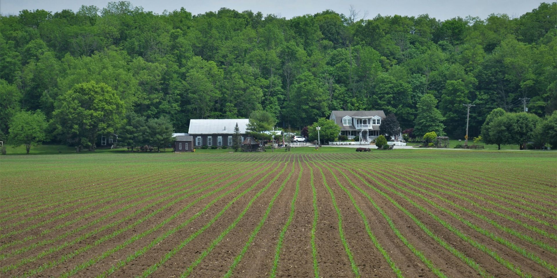 World’s Largest Vertical Farm Opens in Virginia, Transforming Urban Agriculture