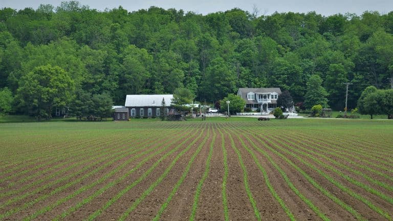 World’s Largest Vertical Farm Opens in Virginia, Transforming Urban Agriculture