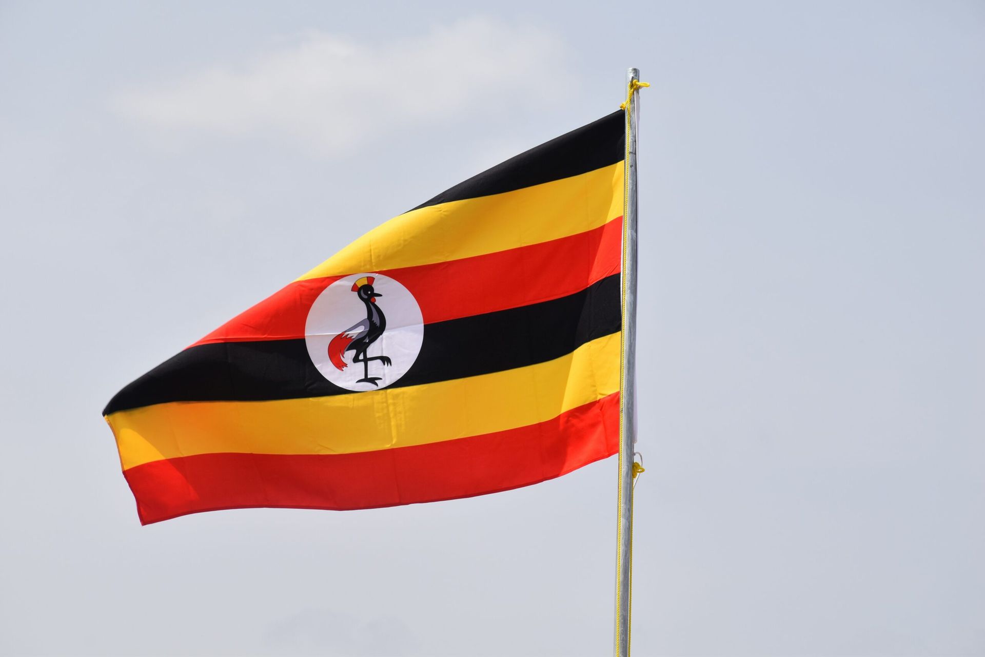 Uganda’s Controversial Anti-Homosexuality Bill Stirs Global Outrage