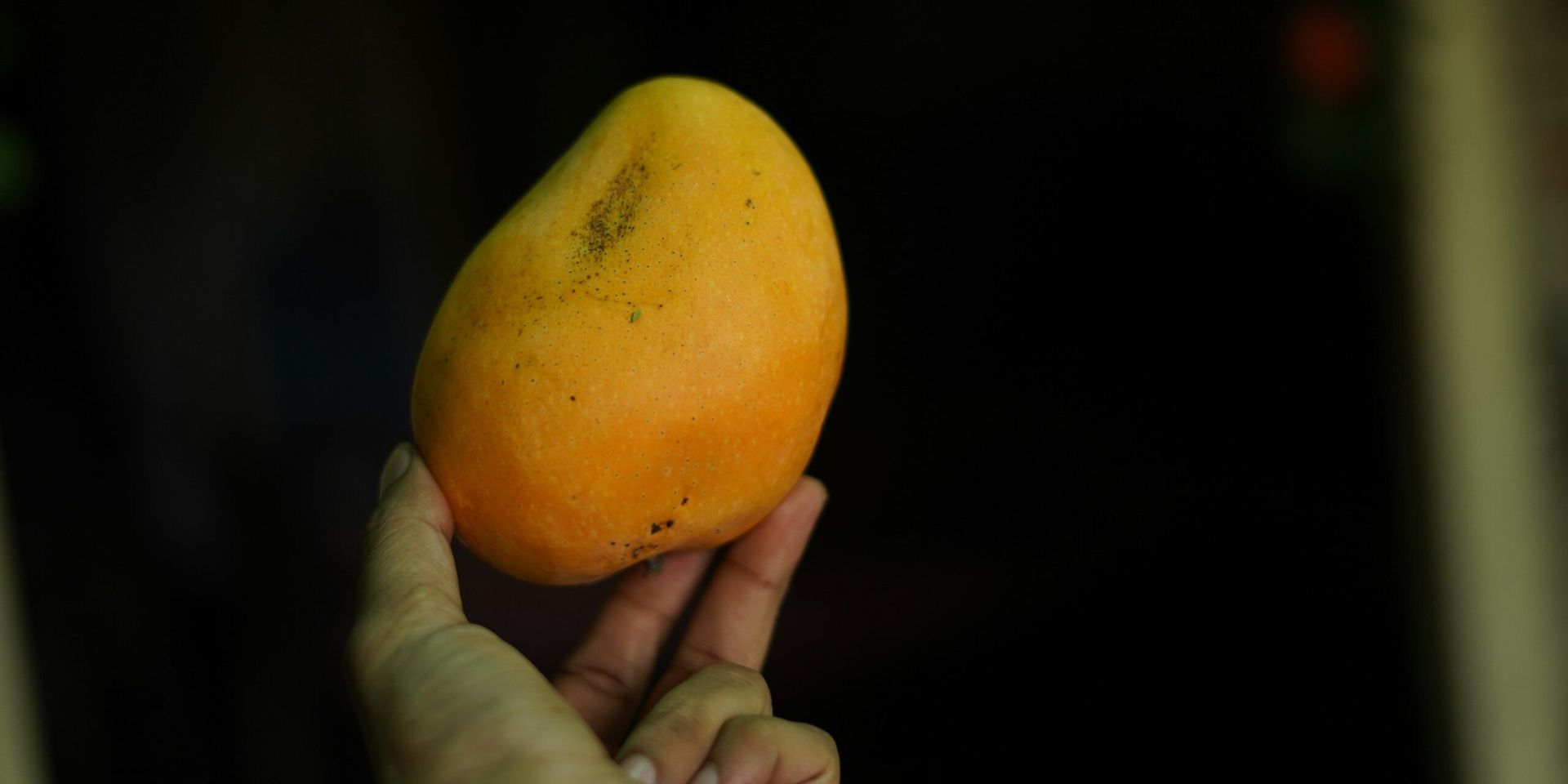 New Study Suggests Mango Consumption May Help Lower Diabetes Risk