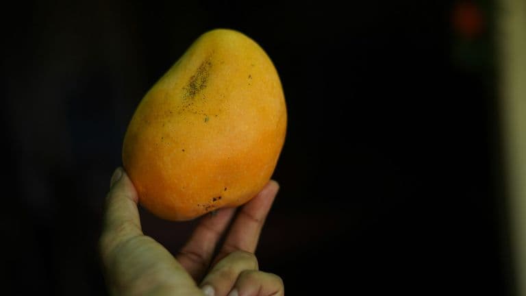 New Study Suggests Mango Consumption May Help Lower Diabetes Risk