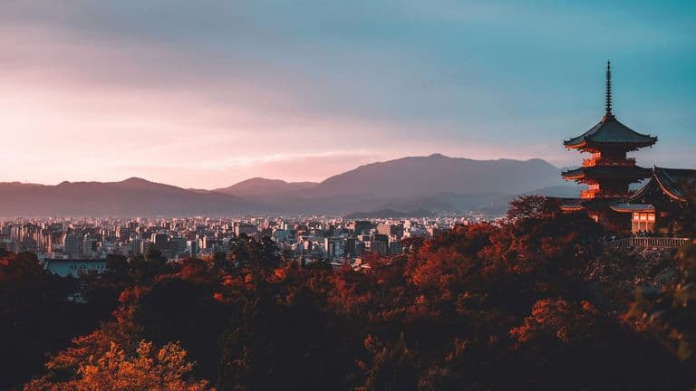 Su san lee e ewwm29wfu unsplash