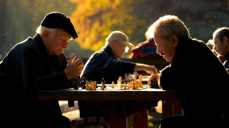World Brain Day Focuses on 12 Science‑Backed Habits to Preserve Cognitive Vitality
