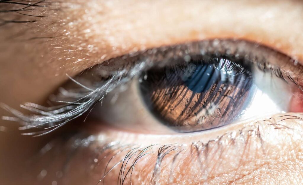 Understanding the causes of constricted pupils