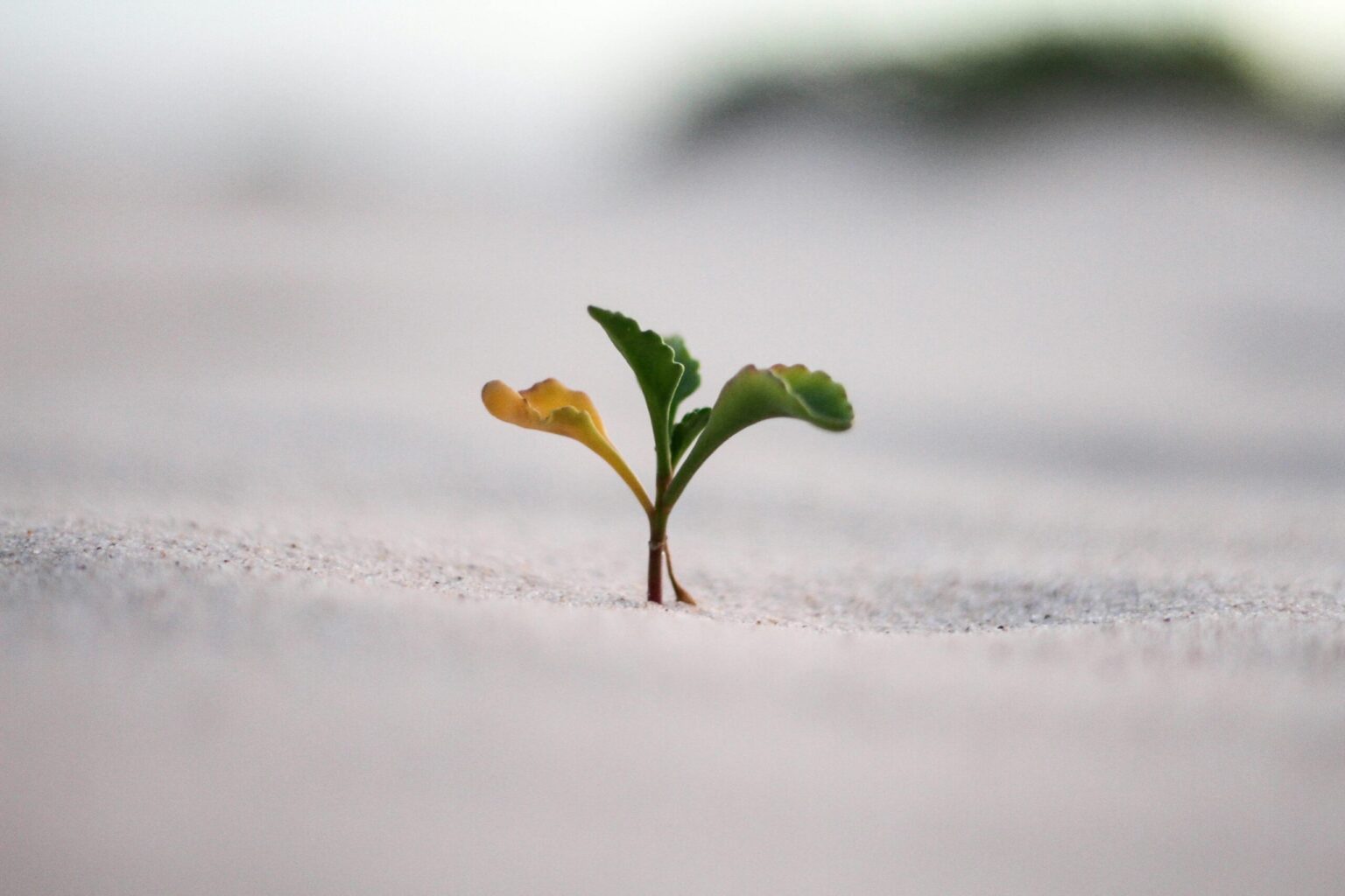 Jeremy bishop vgjgvtsfys4 unsplash